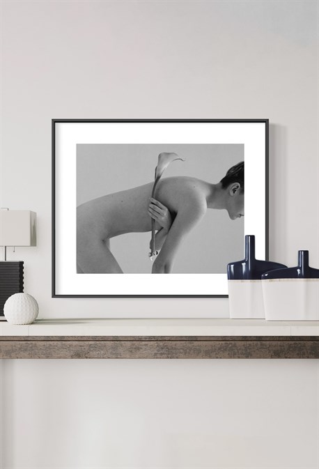 Photo Close-Up - photo 24833