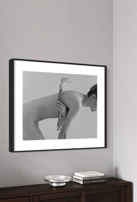 Photo Close-Up - photo 24834