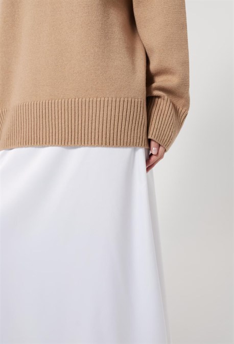 Body Neuroptera - photo 25194