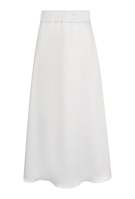 Body Neuroptera - photo 25195