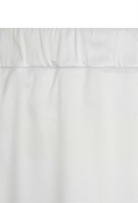 Body Neuroptera - photo 25197