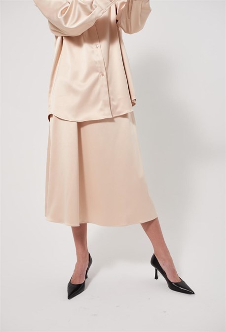 Body Neuroptera - photo 25199