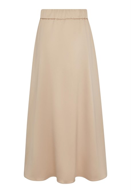 Body Neuroptera - photo 25201