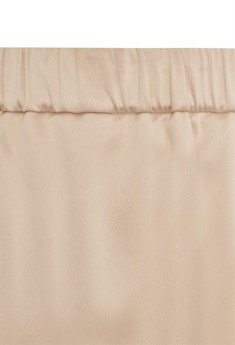 Body Neuroptera - photo 25202