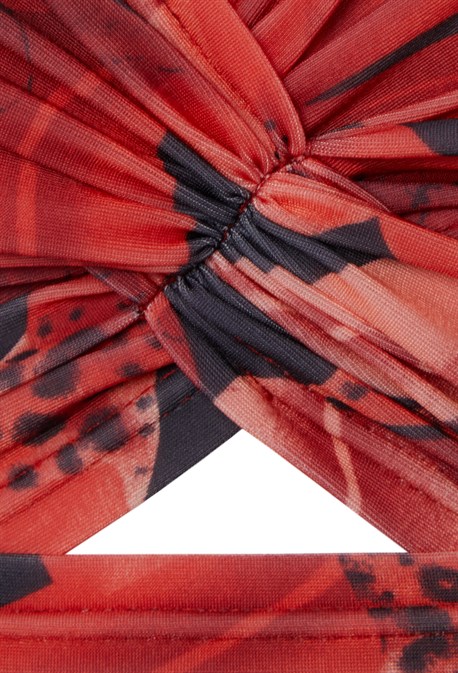 Top flora - photo 26592