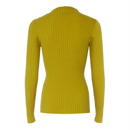 Turtleneck Jay - photo 31105