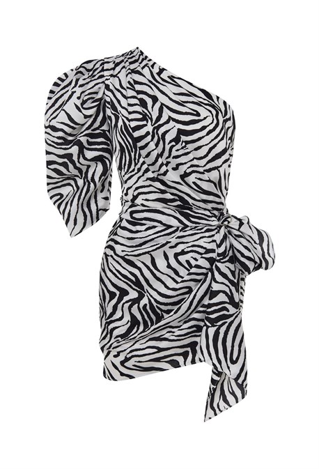 Dress KAIA ZEBRA - photo 33719