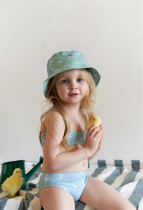 Panama - photo 36461