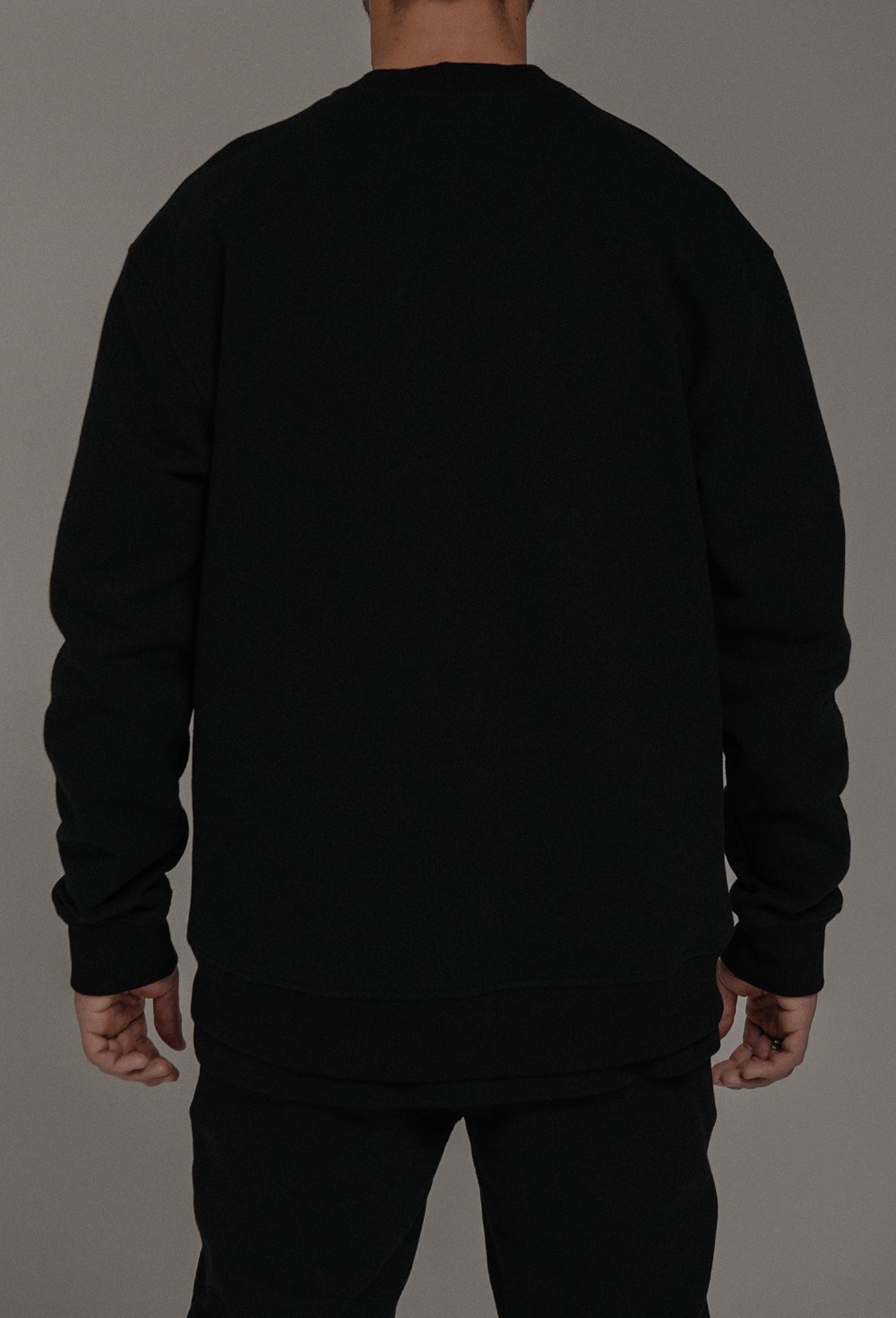 Sweatshirt - photo 44020