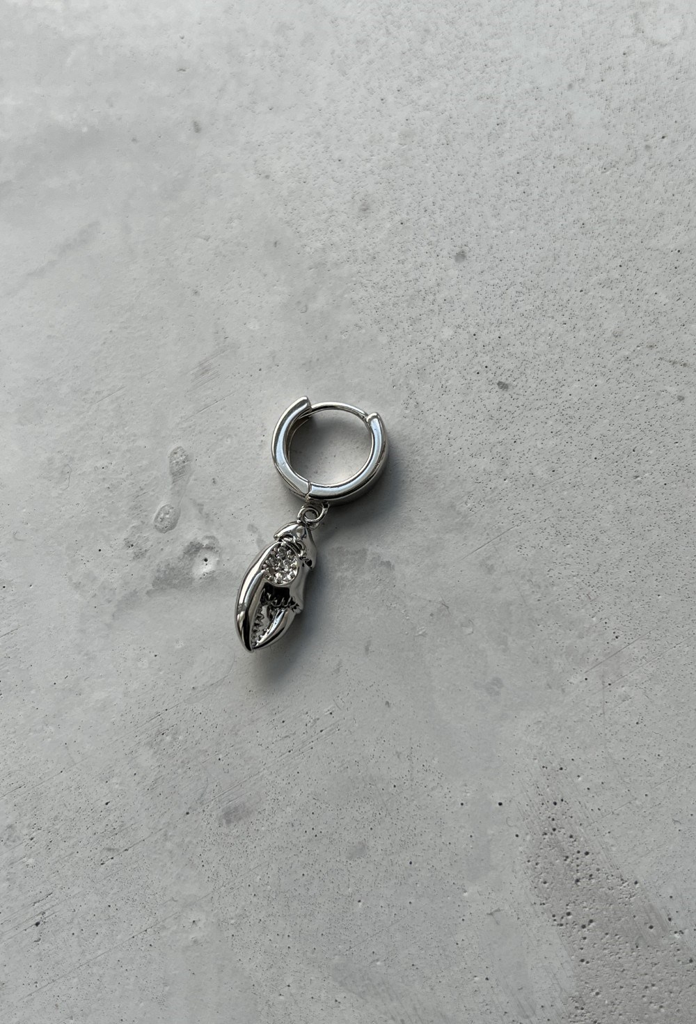 Earrings - photo 48788