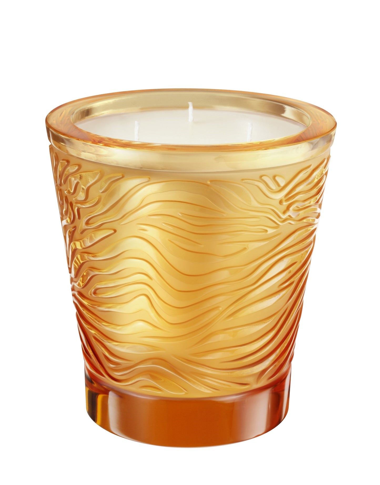 The Jungle Candle - photo 53000