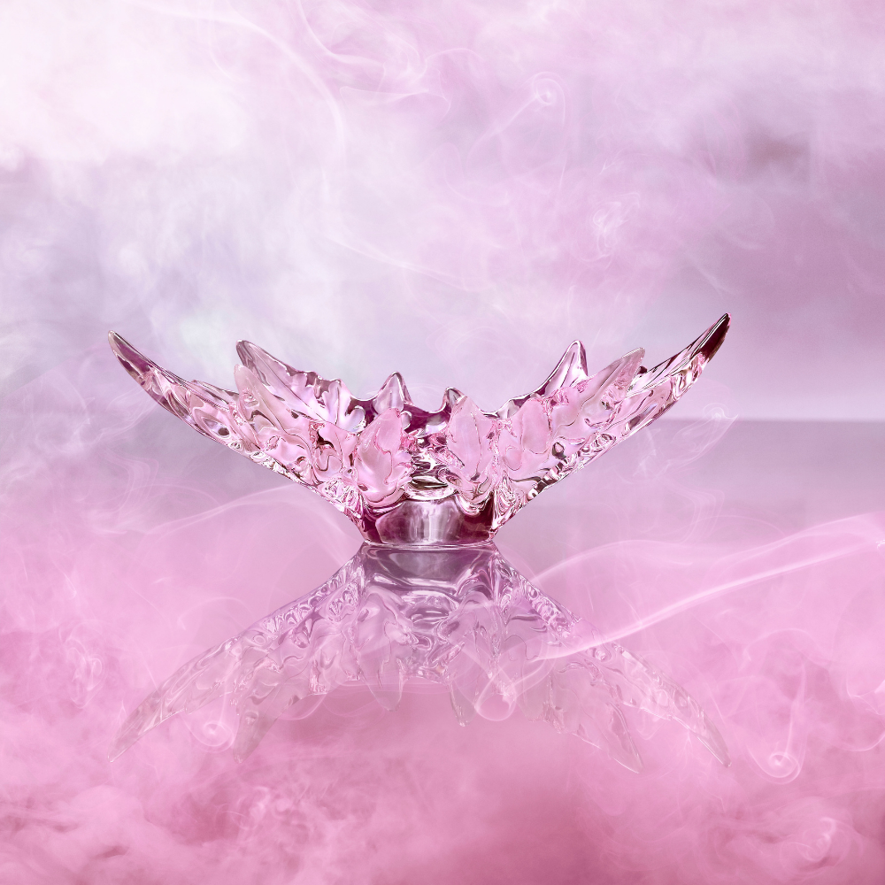 Champs Bowl - photo 53216