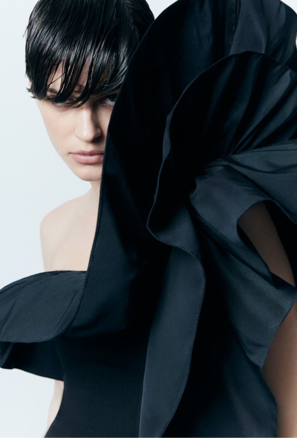 Black Swan Dress - photo 55606