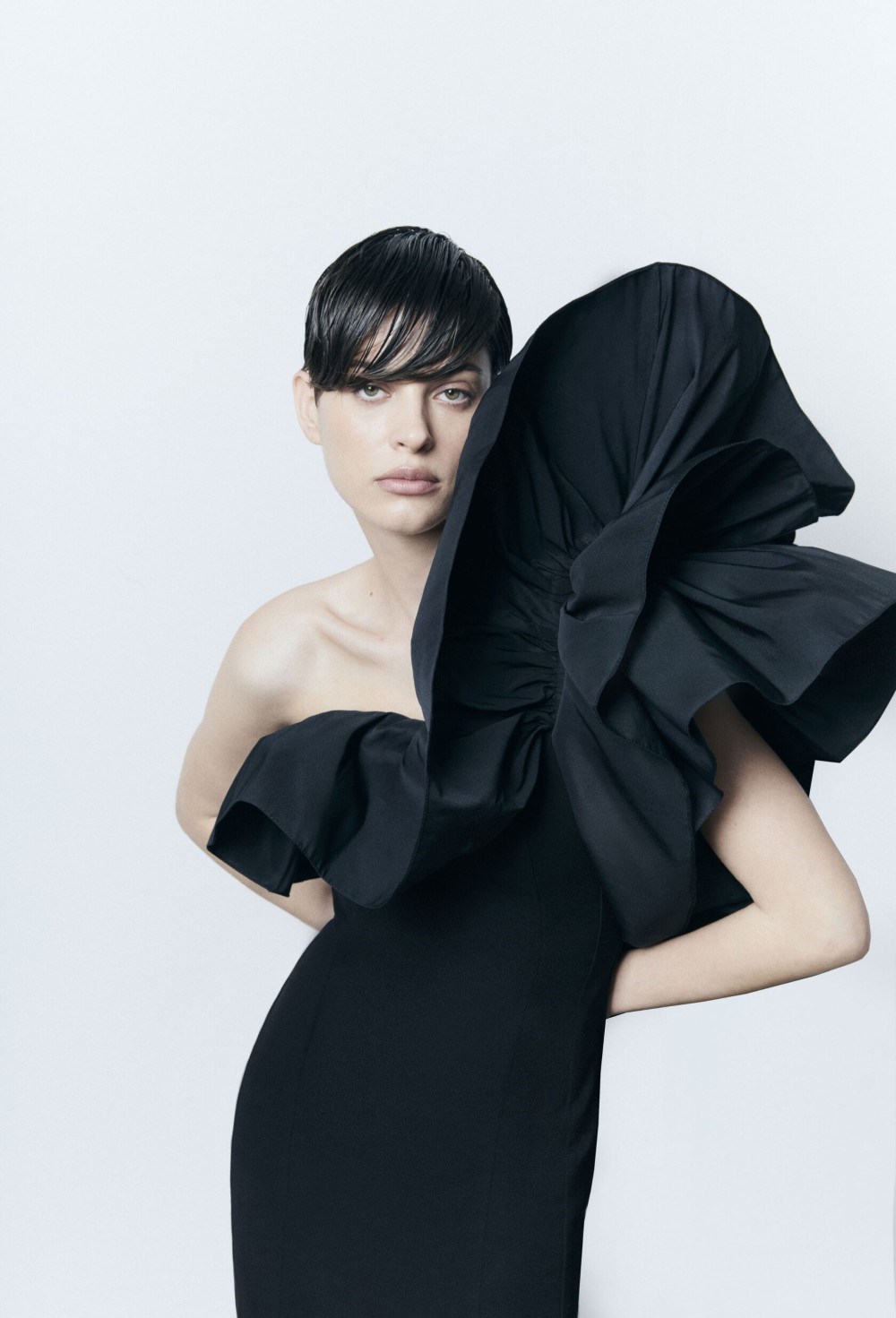 Black Swan Dress - photo 55608