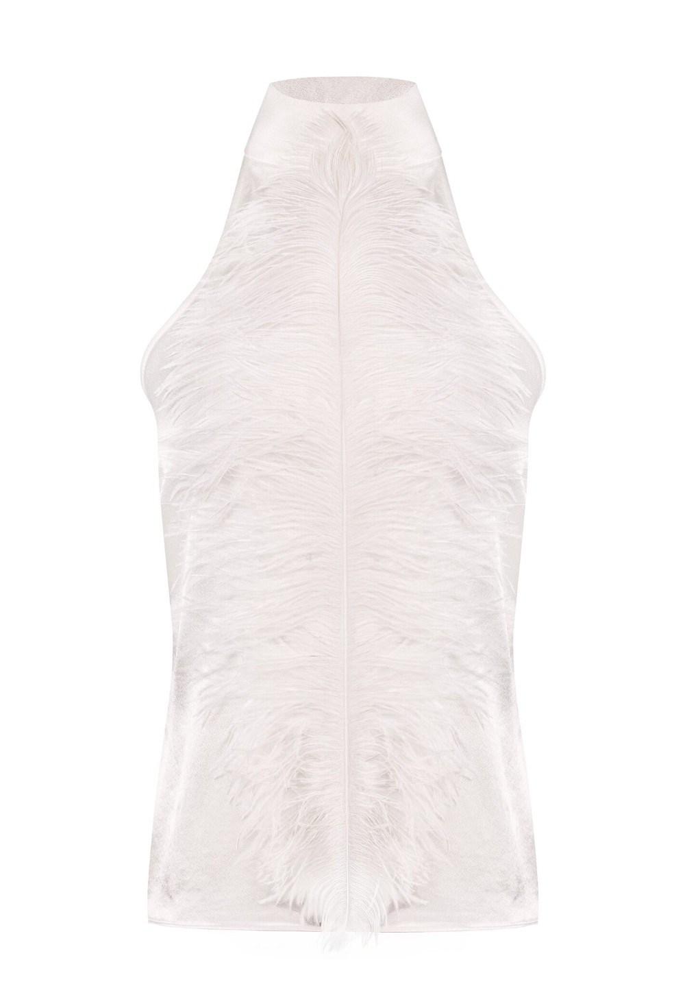 Top Swan - photo 55708