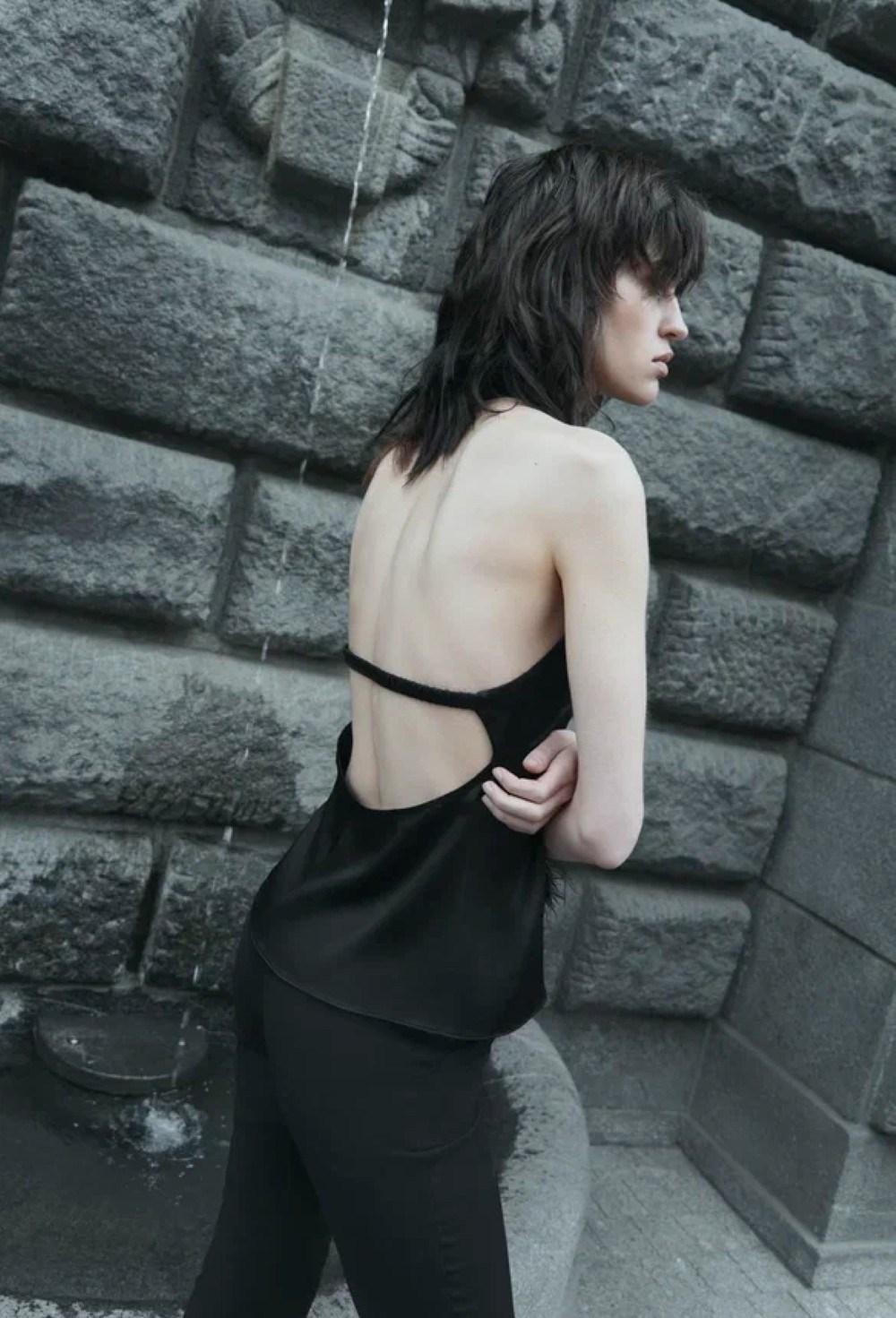 Top Swan - photo 55710