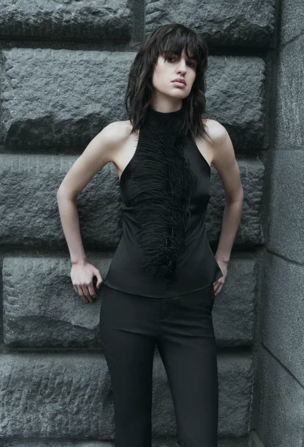 Top Swan - photo 55711