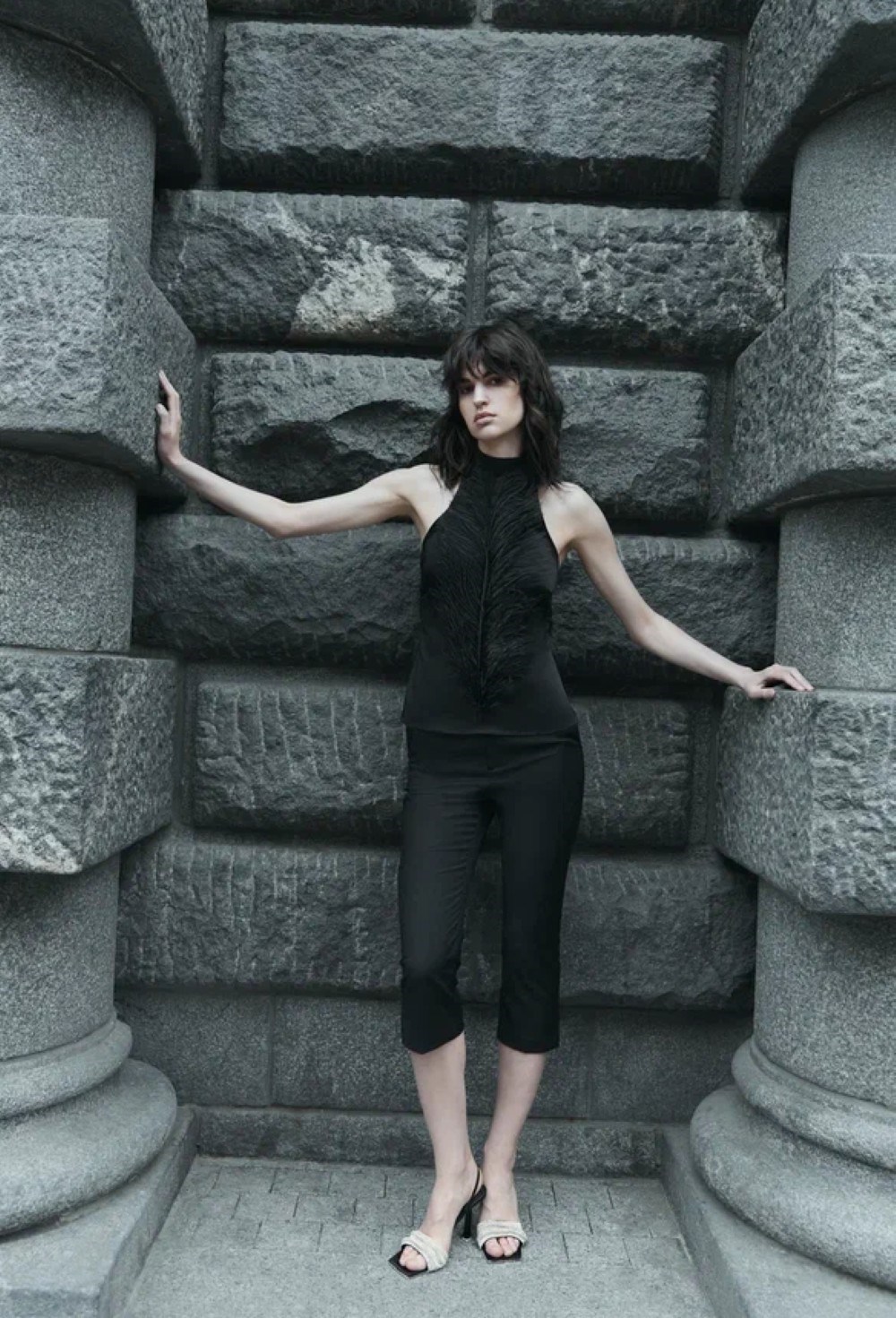 Top Swan - photo 55712