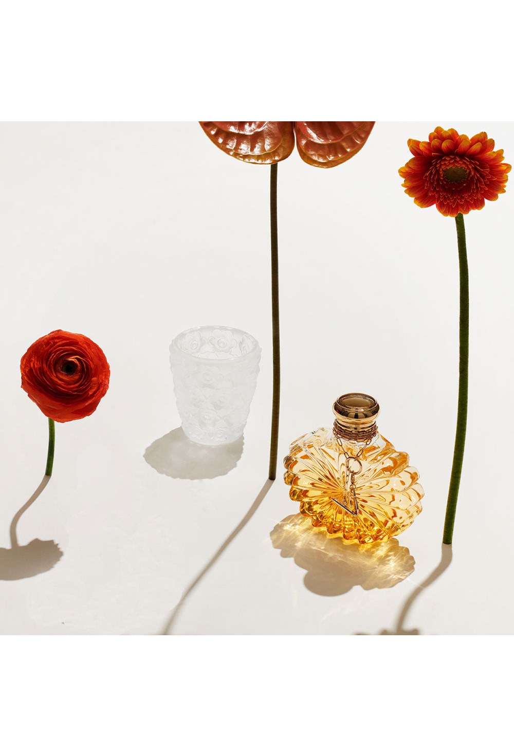 Anemones votive - photo 58049
