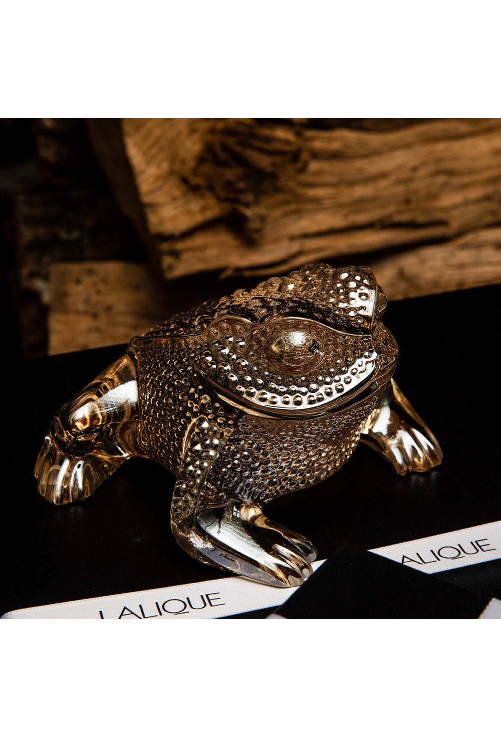 Gregoire Toad sculpture - photo 58210