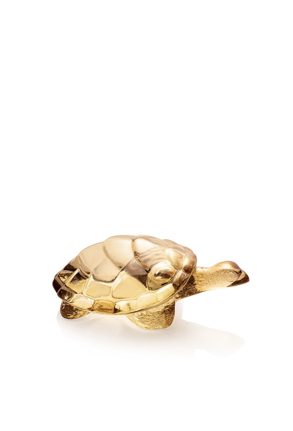 Caroline Turtle sculpture - photo 58212