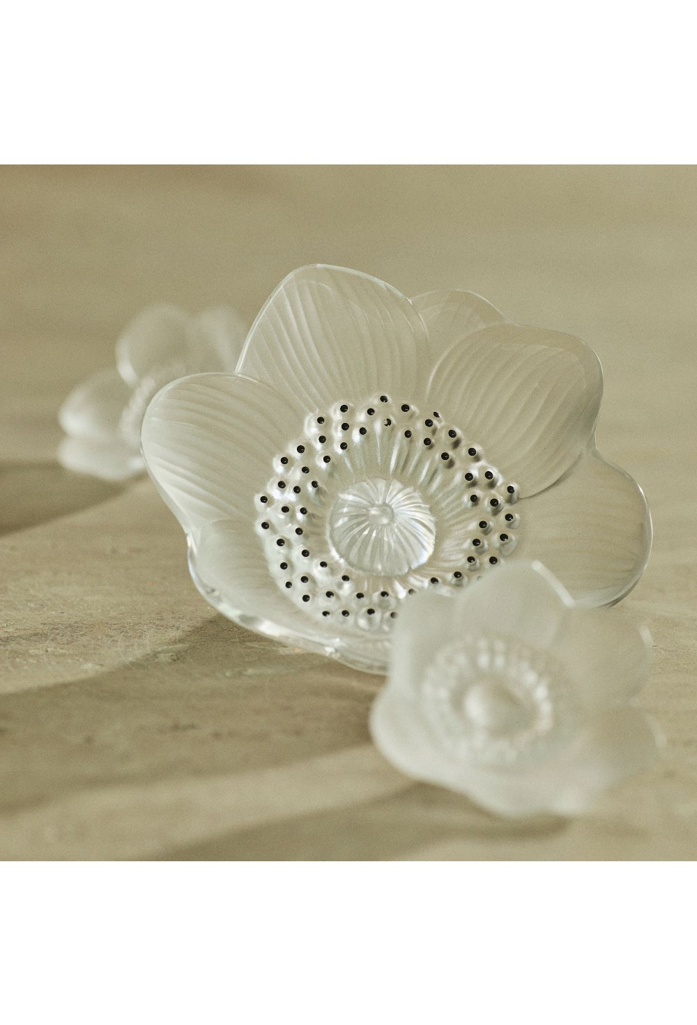 Anemone sculpture - photo 58237