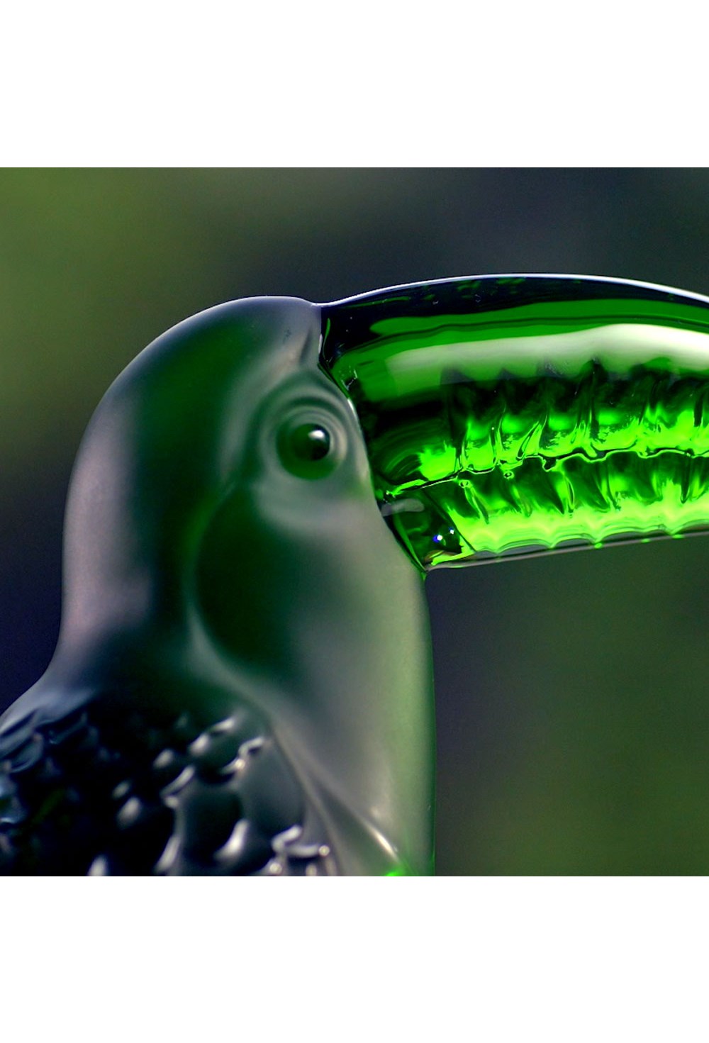 Toucan Sculpture - photo 58471