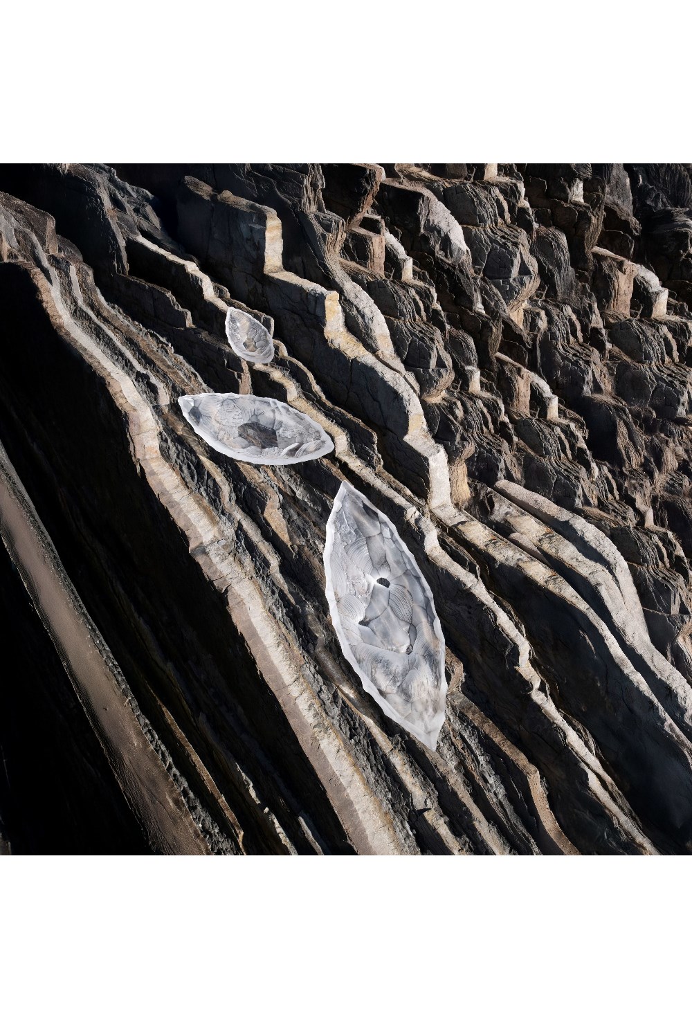 Silex Bowl, large size - photo 58543