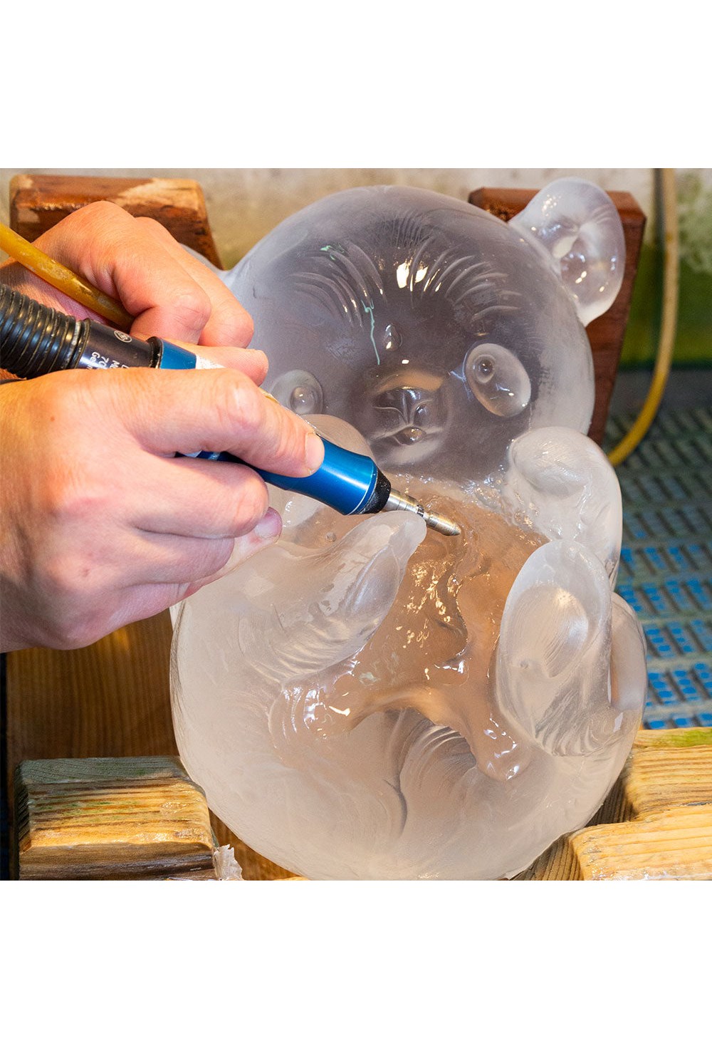 Meng-Meng, Han Meilin And Lalique, 2019 - photo 58562