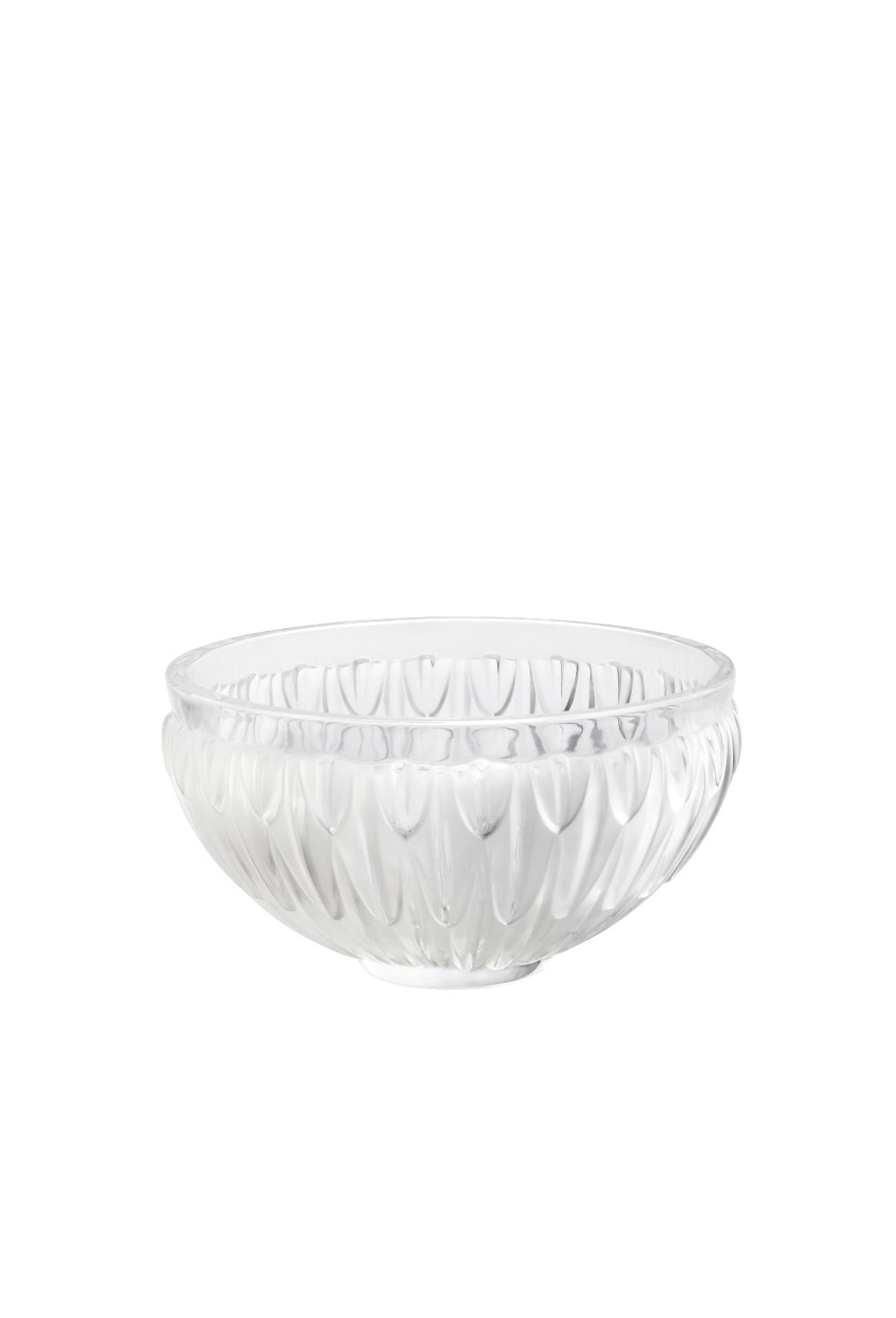 Plumes Bowl - photo 58591