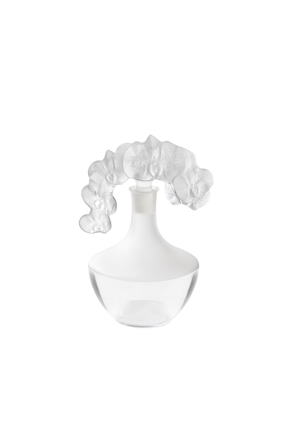 Orchidée decanter - photo 58673
