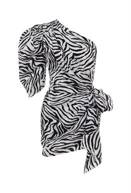 Dress KAIA ZEBRA