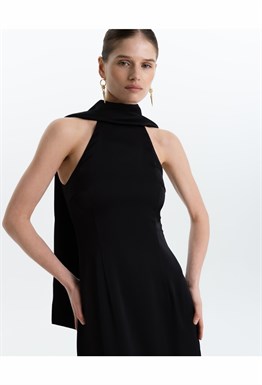 “Meet his parents” silk dress