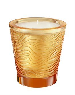 The Jungle Candle