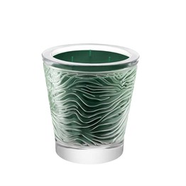 Ta candle?ga Bougie