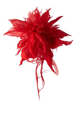 Brooch