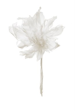 Brooch