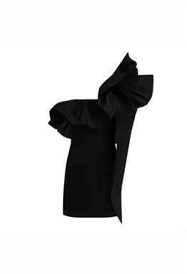 Black Swan Dress