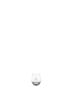 100 POINTS Shot glass