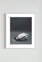 Photo Rebirth - photo 24836