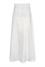 Body Neuroptera - photo 25196