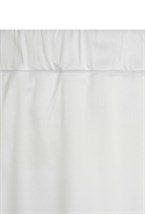 Body Neuroptera - photo 25197