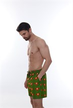 Men's Shorts Cheboo Green - photo 30145