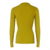 Turtleneck Jay - photo 31105