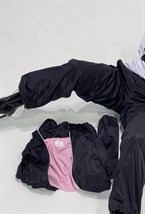 Bomber - photo 32384