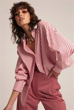 Shirt  GANNETT - photo 33731