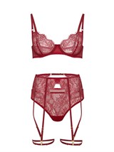 Garter Belt - photo 36074