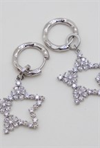 earrings - photo 42213