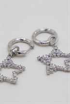 earrings - photo 42214