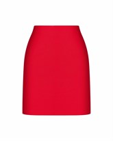 Skirt - photo 42682